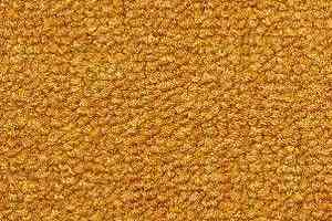 Ковролин Radici Trotter Mostarda 2412 фото  | FLOORDEALER